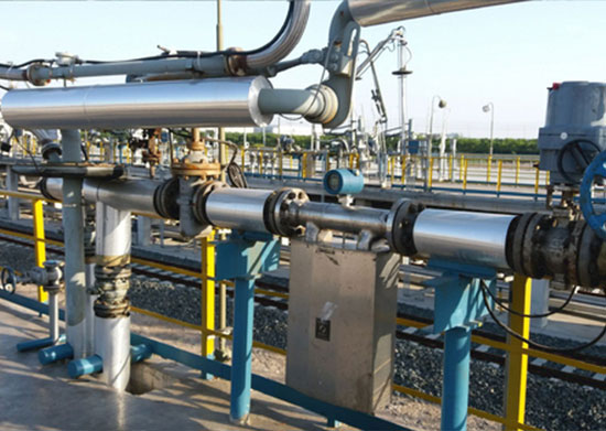 վառելիքի կորիոլիսի հոսքաչափեր