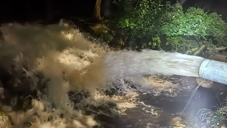 Հոսքի արագության և միջակայքի ընտրություն Selection of Flow Rate and Range